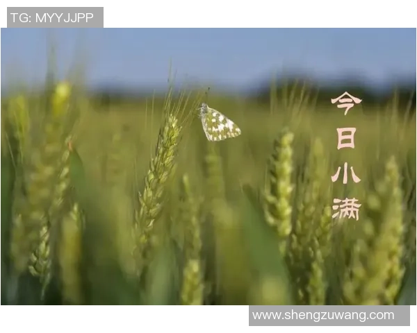 足球运动员是否在星期天休息如何安排训练与休息时间