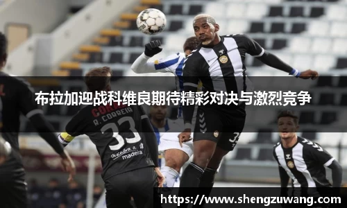 bwin必赢官网入口