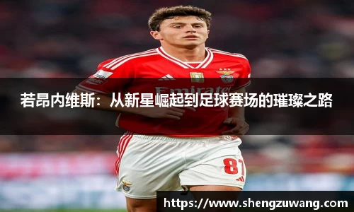 bwin必赢官网入口