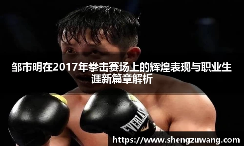 邹市明在2017年拳击赛场上的辉煌表现与职业生涯新篇章解析